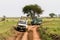 East African lioness and tourists in Safari cars