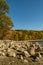 East Branch Reservoir in Fall