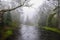 East Branch Of The Sacandaga River, Siamese Ponds Wilderness Area, Adirondack Forest Preserve, New York USA