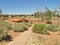 East Cabin and Corral at Pipe Spring National Monument