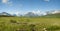 East entrance panorama of Glacier National Park