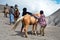 East Java, Indonesia - May 12, 2016 : Unidentified local people or Bromo Horseman waiting for customers at the mountainside of