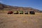 EAST JAVA, INDONESIA-NOV 21 : Colourful jeeps at Blok savana in sunrise light in Bromo Tengger Semeru National Park