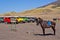 EAST JAVA, INDONESIA-NOV 21 : Colourful jeeps and a horse at Blok savana in sunrise light in Bromo Tengger Semeru National Park