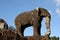 East Mebon Temple Elephant