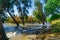 East shore of the Sea of Galilee, high water level