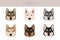 East siberian laika clipart. Different coat colors set