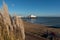 EASTBOURNE, EAST SUSSEX/UK - JANUARY 28 : Pampas Grasses in front of Eastbourne Pier in East Sussex on January 28, 2019. Two