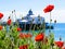 Eastbourne\'s pier and poppies