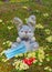 Easter 2021 concept during Coronavirus COVID-19 worldwide pandemic with Easter bunny holding a medical mask and colorful spring