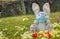 Easter 2021 concept during Coronavirus COVID-19 worldwide pandemic with Easter bunny wearing a medical mask and colorful spring