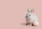 Easter baby rabbit sitting with colored egg on a light pink solid background