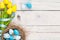 Easter background with blue and white eggs in nest and yellow tu