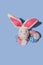 Easter background. In the center, a rabbit peeks out of torn paper.