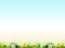 Easter background, cheerful flowers, Easter green and blue with yellow, Concept, screen, postcard, wallpaper, fresh and cheerful,