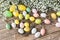 Easter background with decorative colorful eggs and gipsophila flowers