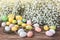 Easter background with decorative colorful eggs and white gipsophila flowers. Toned