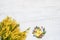 Easter background. Easter decoration and mimosa bouquet on white background. Top view, copy space