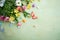 Easter background with flowers and copy space green surface