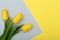 Easter background with flowers pantone 2021 yellow grey