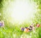 Easter background with fluffy rabbit on grass and flowers with Easter eggs in park or garden