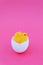 Easter background. The little yellow chicken hatched and and sits in an egg-shell