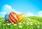 Easter Background with ornate Easter eggs on meadow.