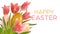 Easter background with realistic pink tulips and Easter eggs. Template for invitation, banner, poster with easter eggs