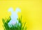 Easter Background with Silhouette bunny in grass on yellow background