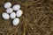 easter background, white chicken eggs