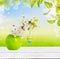Easter background with white wooden table, deco eggs and vase with cherry blossom