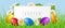 Easter banner frame with eggs and daisy in grass