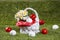 Easter Basket with Golf Balls and Flowers