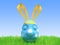 Easter blue egg - a hare