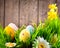 Easter border design. Colorful eggs in spring grass