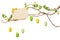 Easter Branches - with Easter Eggs, Blank Sign / Card, Isolated