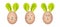 Easter bunnies made of henâ€™s eggs and green salad leaves. Funny bunny faces drawn on the eggs. Creative Easter decoration.