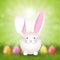 Easter bunny background