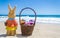 Easter bunny with basket and color eggs on the tropical beach ne