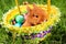 Easter bunny in basket with colorful eggs against green grass background