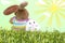 Easter bunny and bunny egg