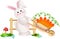 Easter bunny carrying wheel barrow full with carrots