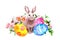 Easter bunny with colored eggs, grass, flowers, feathers. Watercolor