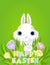 Easter Bunny with crocus bouquet