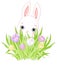 Easter Bunny with Crocus Bouquet