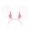 Easter bunny ears mask. Rabbit ears props for photobooth or party on white background. Element for hare masquerade