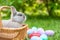 Easter bunny and Easter eggs on spring green grass. Cute rabbit