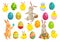 Easter bunny eggs. Cute rabbit, spring chicks and colorful egg vector illustration set