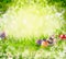 Easter bunny with eggs and flowers in grass over green garden tree leaves