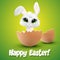 Easter bunny hatching from an egg green background